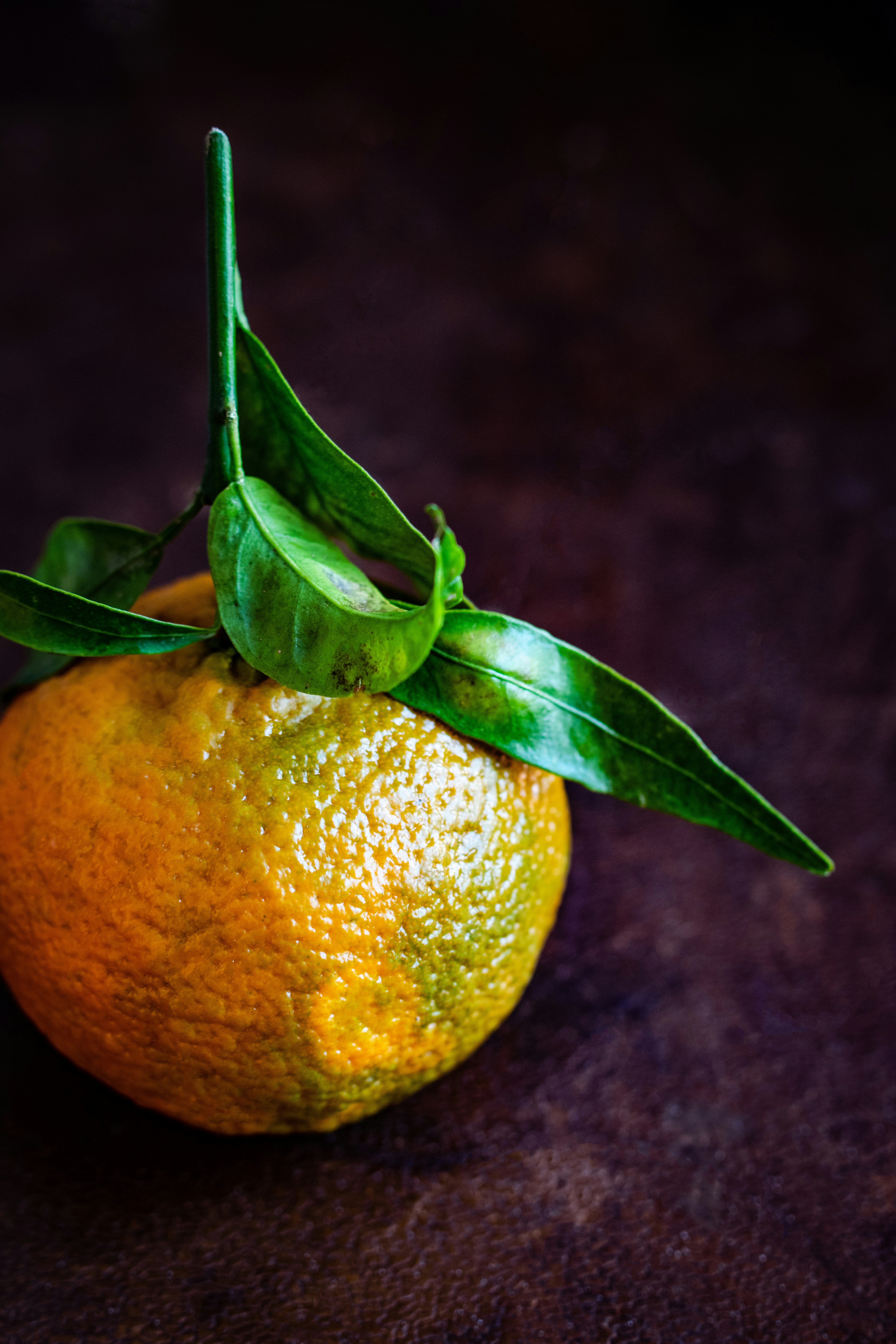 orange fruit